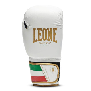 Boxningshandskar Leone Italy 12 oz