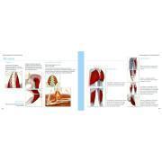 Bok yoga anatomie-les muscles Hachette