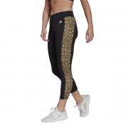 Leggings för kvinnor adidas Designed To Move Aeoready Leopard Imprimé 7/8