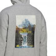 Sweatshirt med huva adidas Mountain Graphic