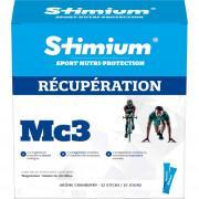 32 återställningsminnen Stimium MC3